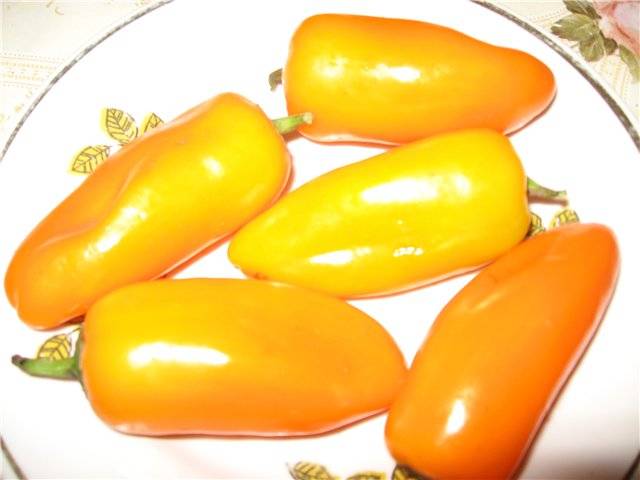Pepper Orange
