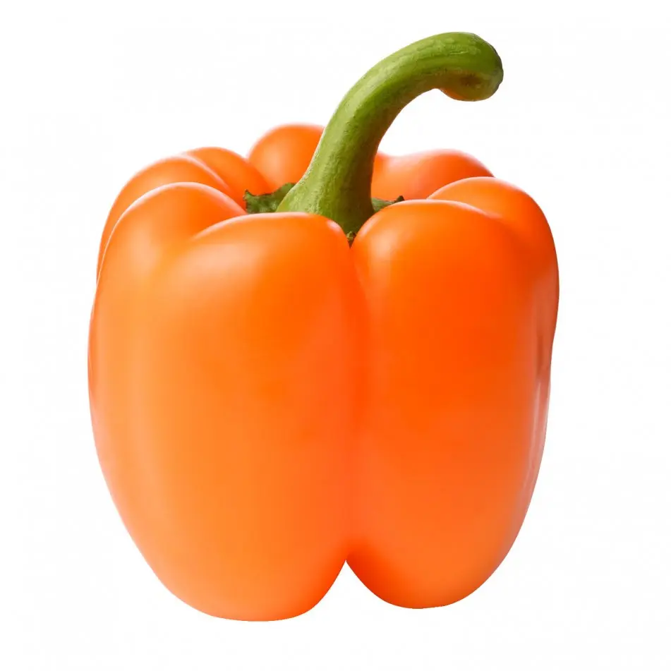 Pepper Orange