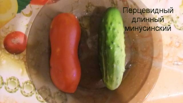 Pepper tomato: Giant, Orange, Striped, Yellow, Pink, Red