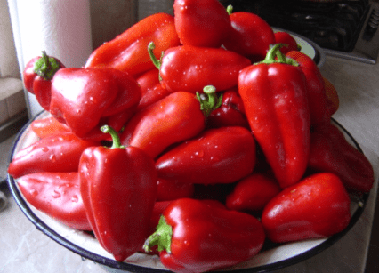 Pepper varieties for open ground in Siberia