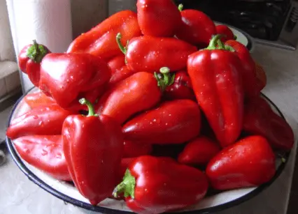 Pepper varieties for open ground in Siberia