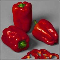 Pepper varieties for open ground in Siberia