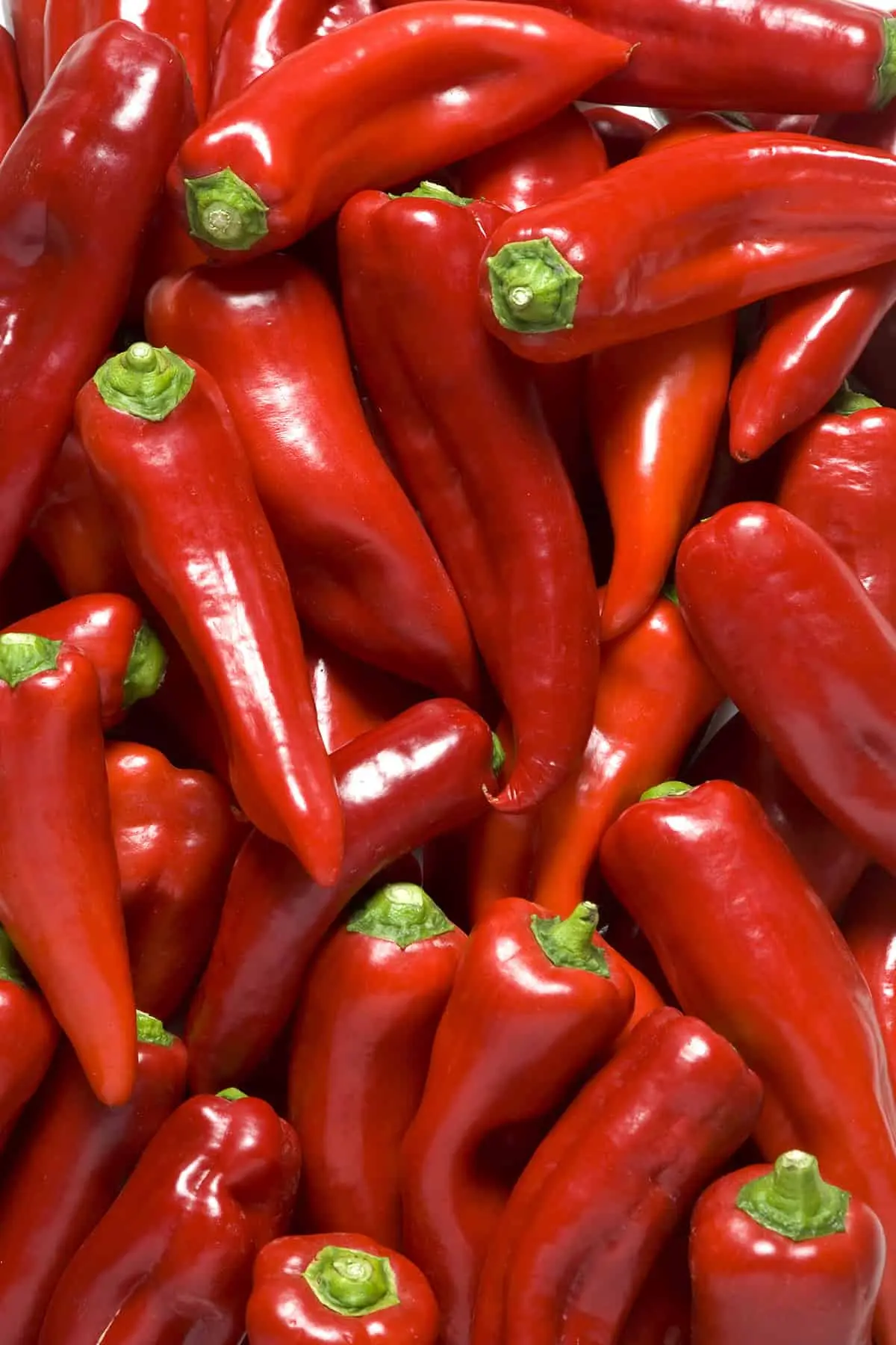 Pepper varieties for paprika