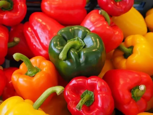 Pepper varieties resistant to diseases and low temperatures