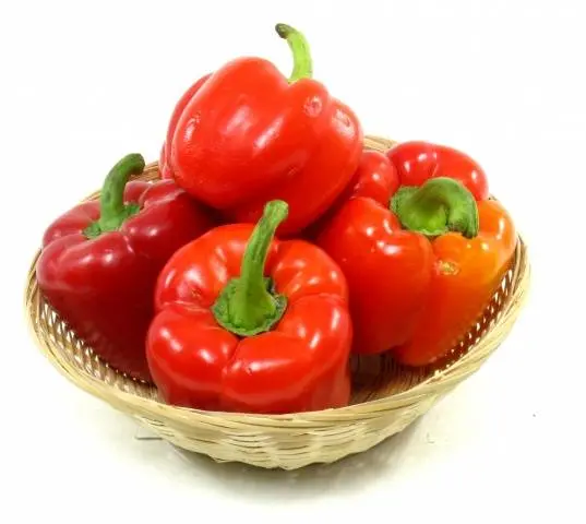 Pepper varieties resistant to diseases and low temperatures