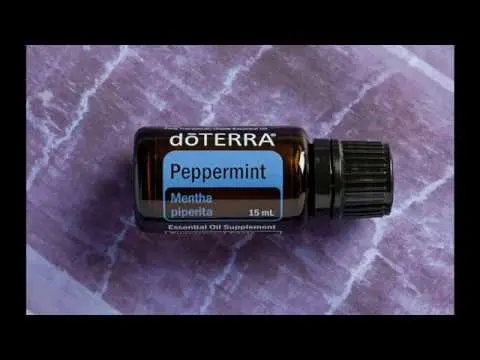 Peppermint essential oil: properties and uses, reviews