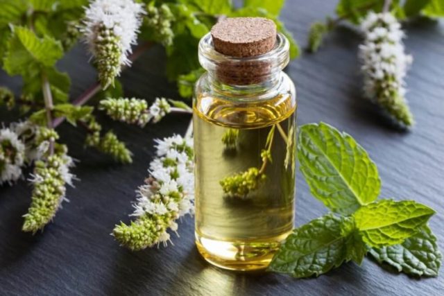 Peppermint tincture: for hair, for face, for acne, benefits and harms, instructions for use, reviews