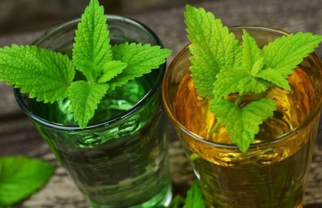 Peppermint tincture: for hair, for face, for acne, benefits and harms, instructions for use, reviews