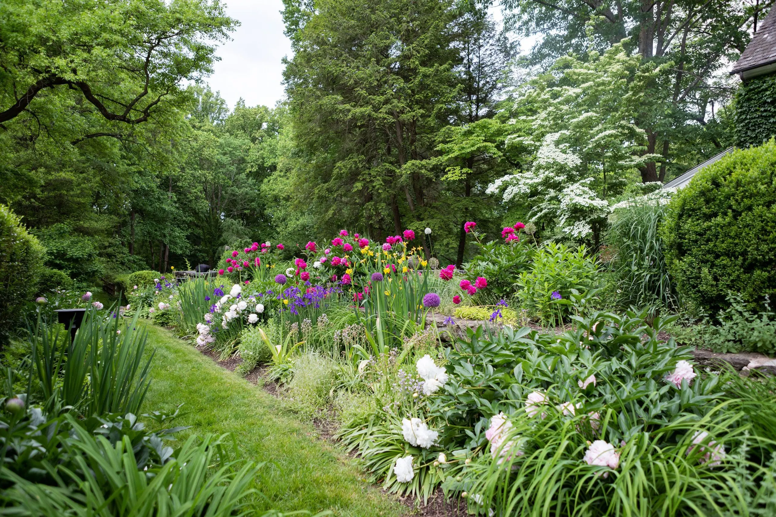 Perennial flower beds: how to choose flower varieties