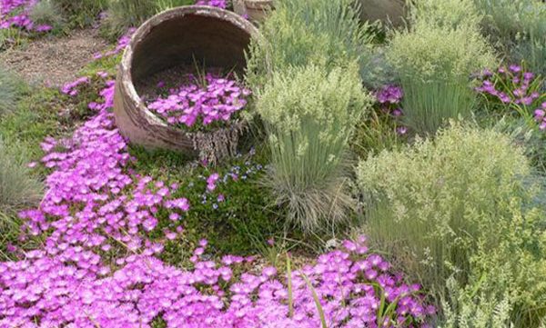 Perennial flowers for flower beds: what are and how to plant