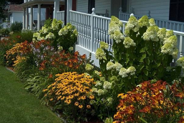 Perennial flowers in the country, blooming all summer