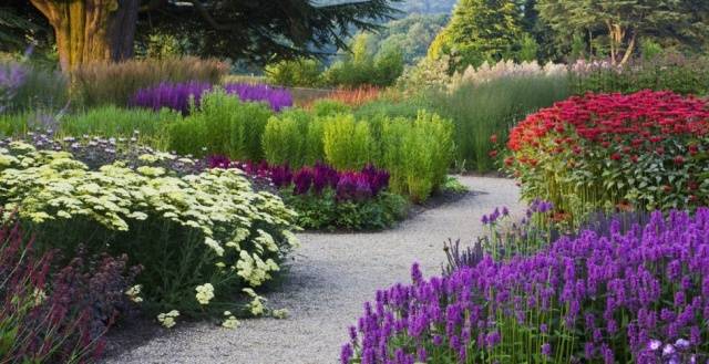 Perennials for Siberia, blooming all summer