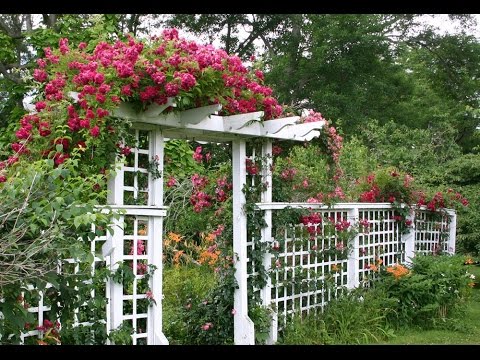 Pergolas in landscape design – Healthy Food Near Me