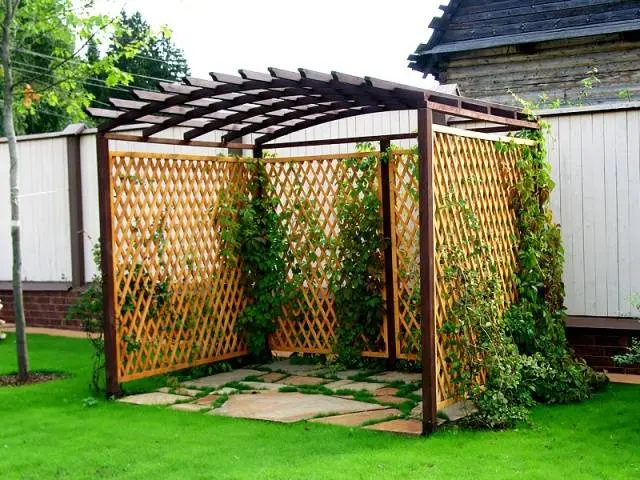 Pergolas in landscape design