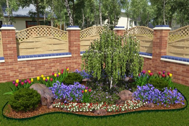 Periwinkle in landscape design: ideas, photos of flowers in a flower bed