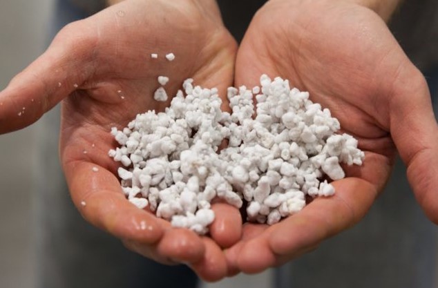 Perlite or vermiculite: which is better for plants