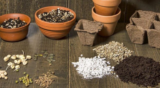 Perlite or vermiculite: which is better for plants