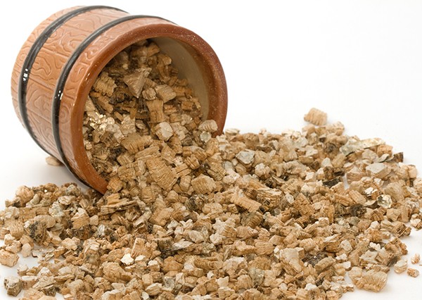 Perlite or vermiculite: which is better for plants