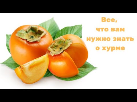 Persimmon in diabetes mellitus type 1 and 2: possible or not, glycemic index