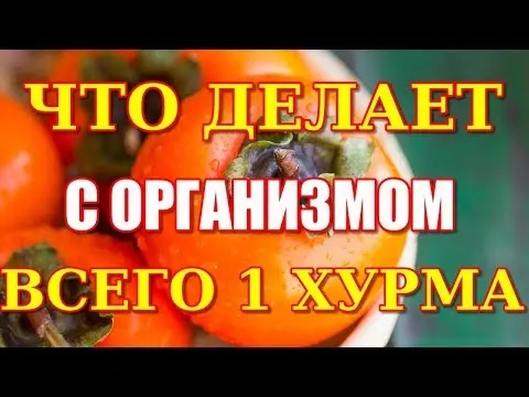 Persimmon: useful properties and contraindications for use for women and men