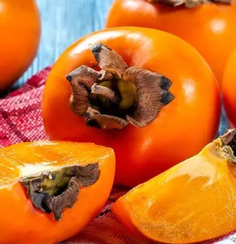 Persimmon: useful properties and contraindications for use for women and men