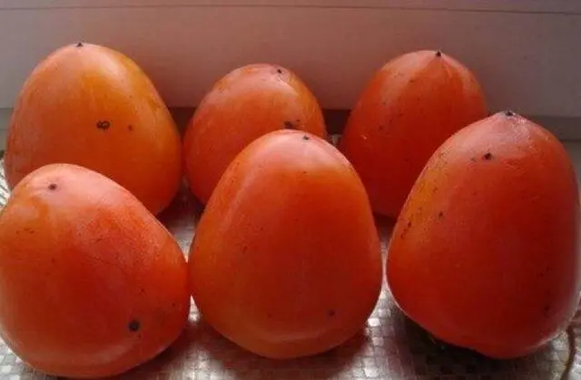 Persimmon varieties with photos and names: self-fertile, frost-resistant, early, best