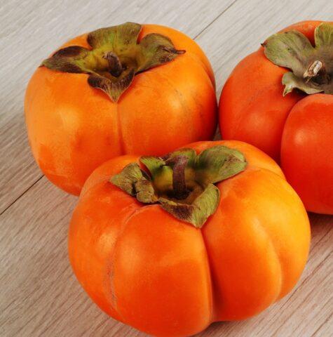 Persimmon varieties with photos and names: self-fertile, frost-resistant, early, best