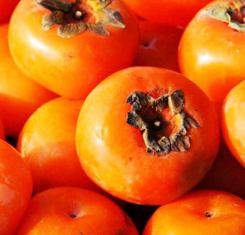 Persimmon varieties with photos and names: self-fertile, frost-resistant, early, best