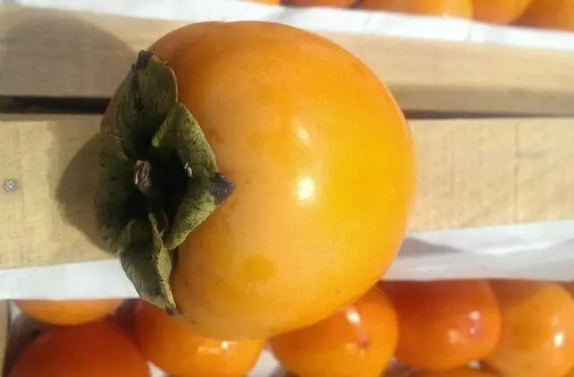 Persimmon varieties with photos and names: self-fertile, frost-resistant, early, best