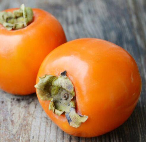 Persimmon varieties with photos and names: self-fertile, frost-resistant, early, best