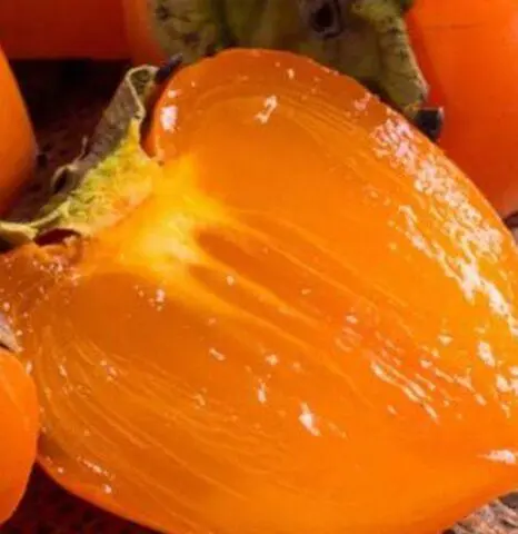 Persimmon varieties with photos and names: self-fertile, frost-resistant, early, best