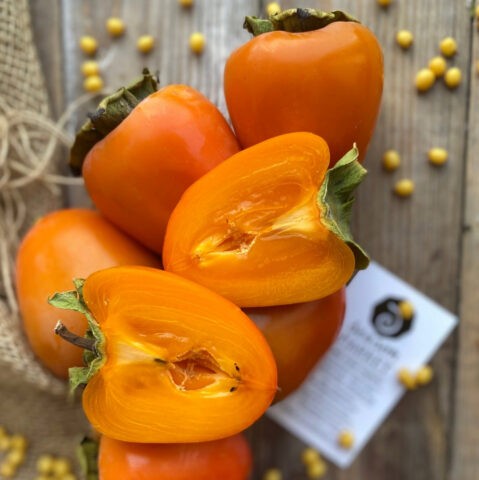 Persimmon variety Bulls heart: description, photo, reviews