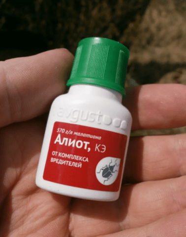 Pesticide Aliot KE: instructions for use, reviews, when to process