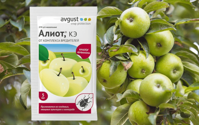 Pesticide Aliot KE: instructions for use, reviews, when to process