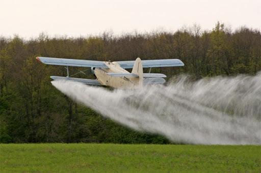 Pesticide Bomba: instructions for use, consumption rate