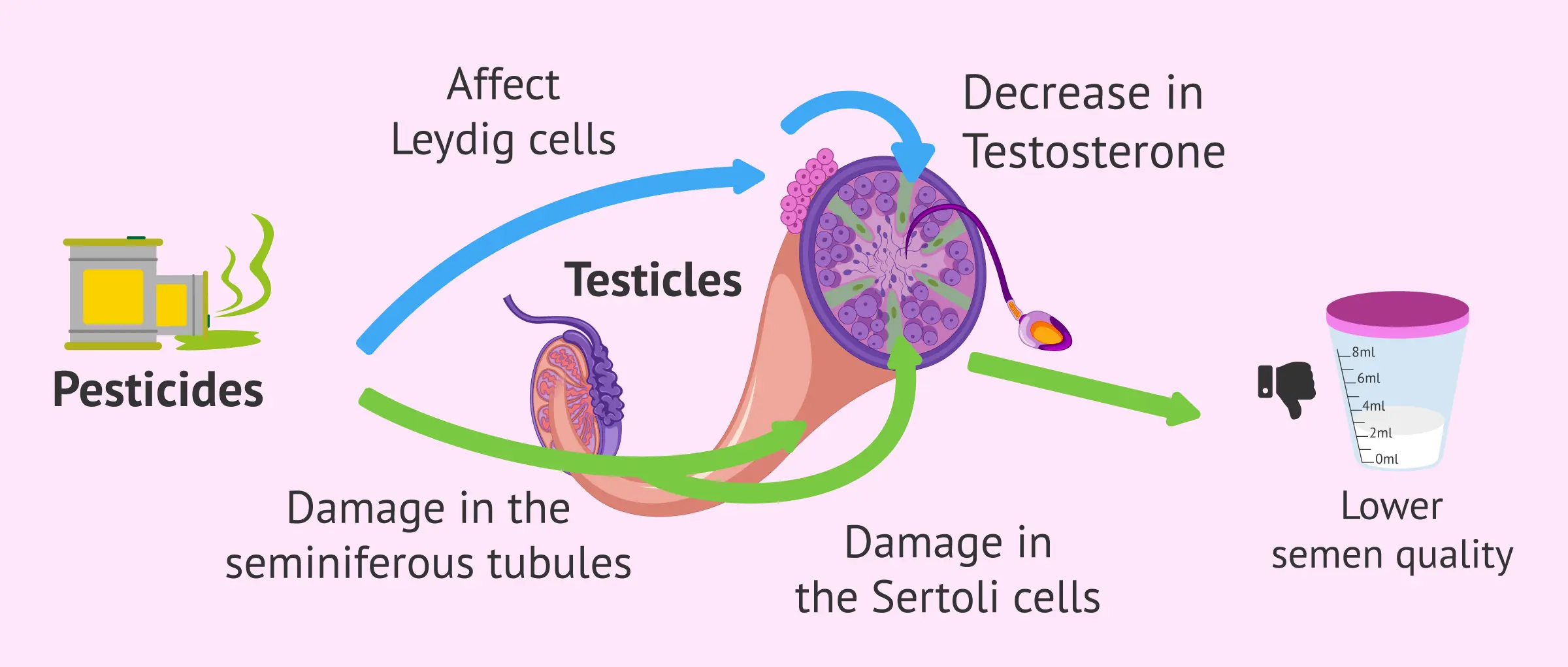 Pesticides can damage sperm