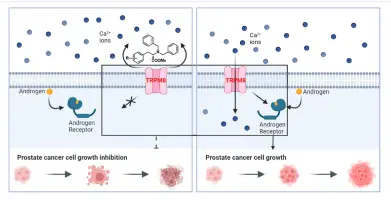 Pharmacological castration: a therapy that does not change orientation