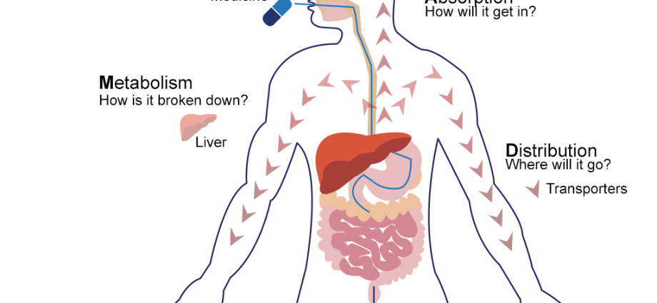 Pharmacology &#8211; the study of how drugs work on the body. The field of medicine and pharmacy