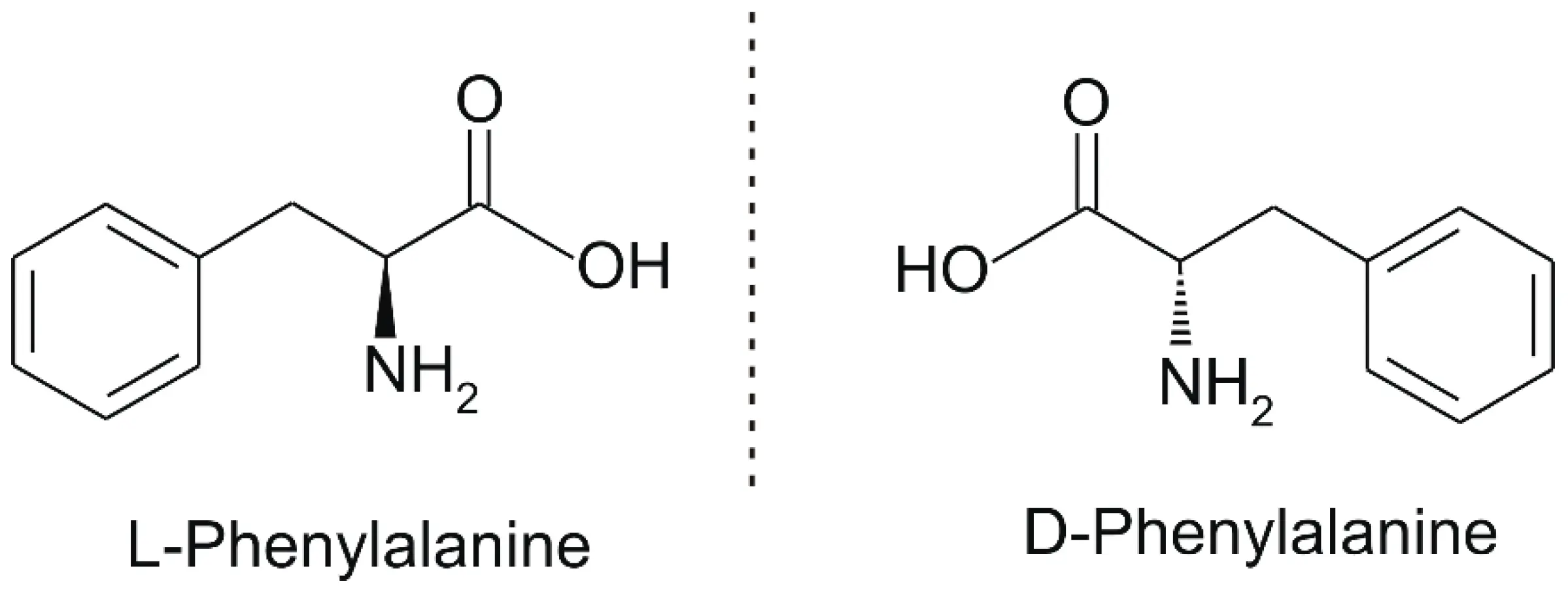 Phenylalanine for concentration and pain elimination. Properties, occurrence and application