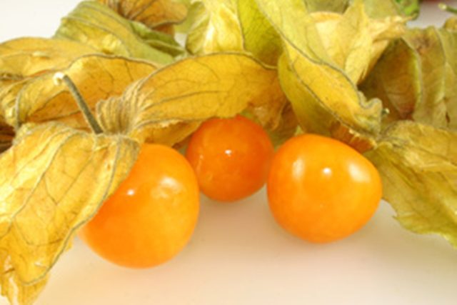 Physalis berry