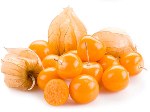 Physalis: fruit or vegetable, how to grow