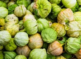 Physalis: fruit or vegetable, how to grow