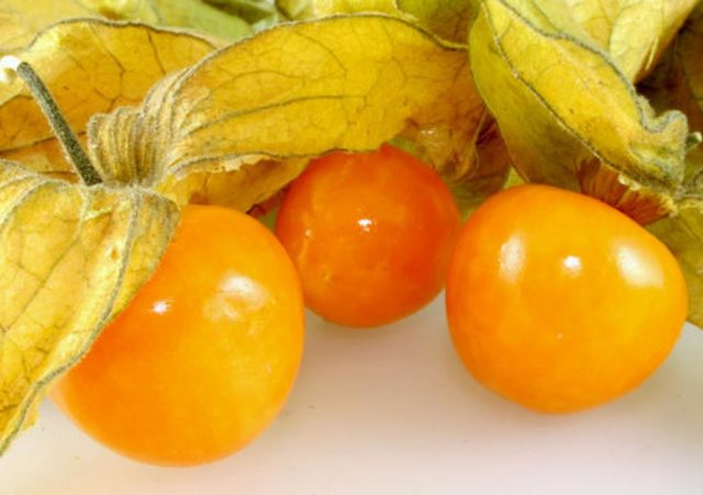 Physalis: health benefits and harms