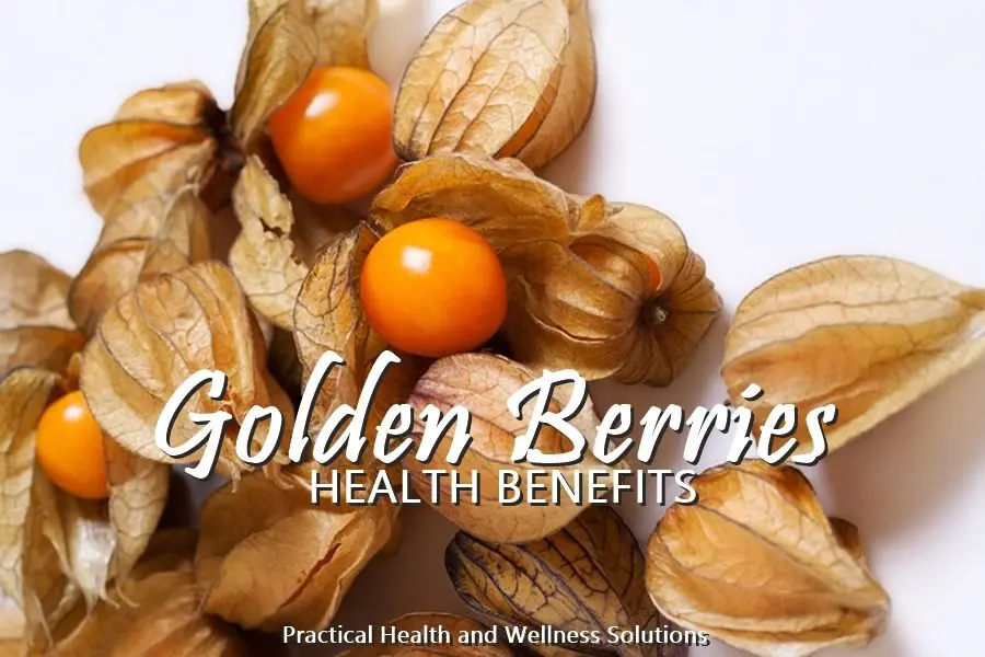 Physalis: health benefits and harms