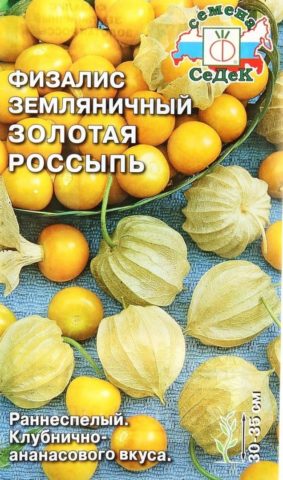 Physalis varieties