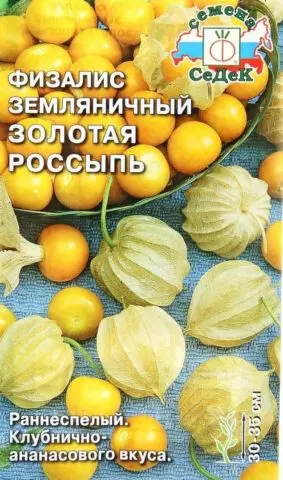 Physalis varieties