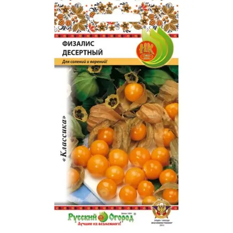 Physalis varieties