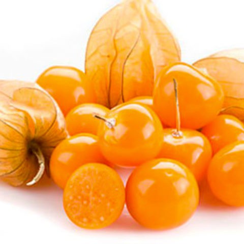 Physalis varieties