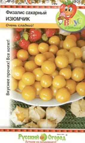 Physalis varieties