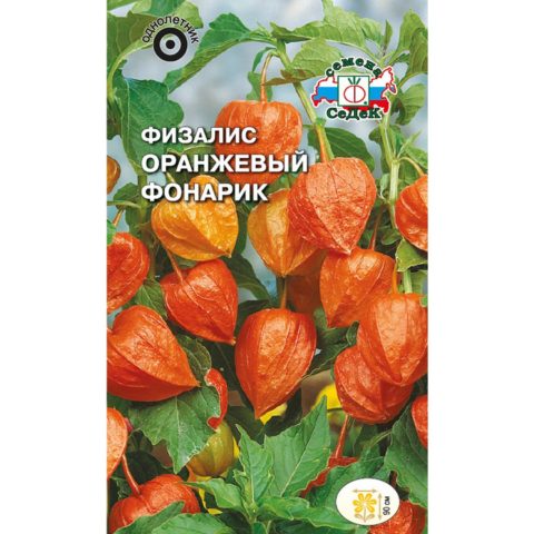 Physalis varieties